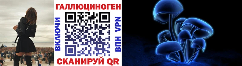 где купить наркоту  Таганрог  darknet Telegram  Галлюциногенные грибы Psilocybine cubensis 
